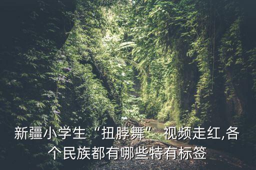 新疆小学生“扭脖舞” 视频走红,各个民族都有哪些特有标签