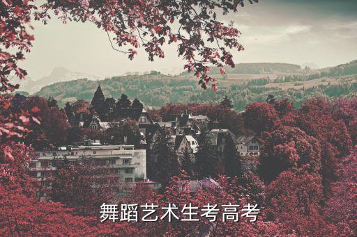  舞蹈艺术生考高考