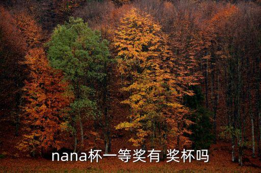 nana杯一等奖有 奖杯吗