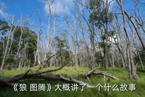 《狼 图腾》大概讲了一个什么故事