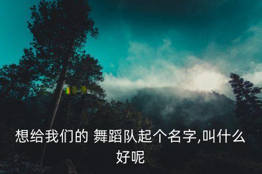 清水百合广场舞舞蹈