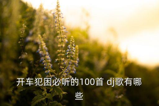 开车犯困必听的100首 dj歌有哪些