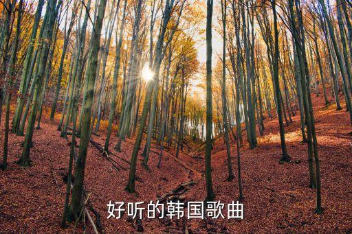 好听的韩国歌曲