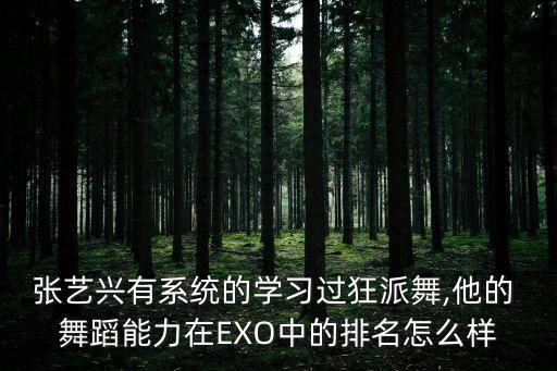exo舞蹈捶人,顺其自然EXO舞蹈