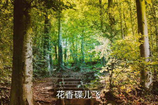 花香碟儿飞