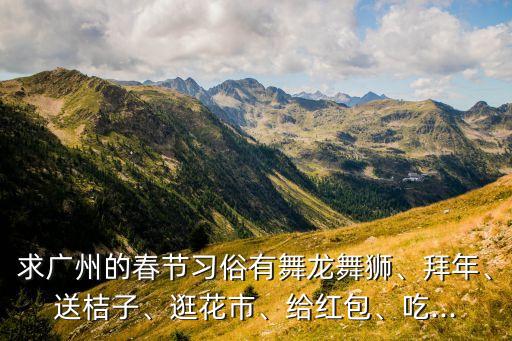 求广州的春节习俗有舞龙舞狮、拜年、送桔子、逛花市、给红包、吃...