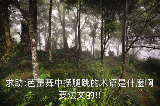 求助:芭蕾舞中摆腿跳的术语是什麼啊要法文的!!
