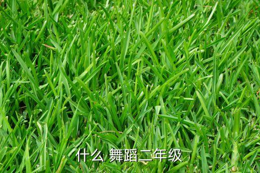 什么 舞蹈二年级