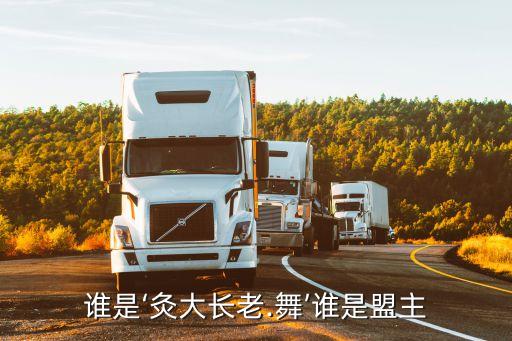 谁是‘灸大长老.舞’谁是盟主