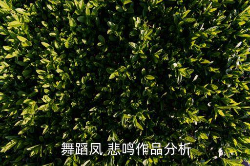  舞蹈凤 悲鸣作品分析