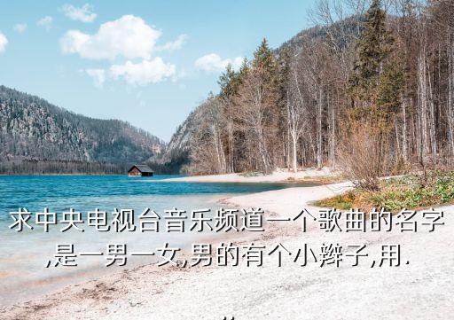 求中央电视台音乐频道一个歌曲的名字,是一男一女,男的有个小辫子,用...