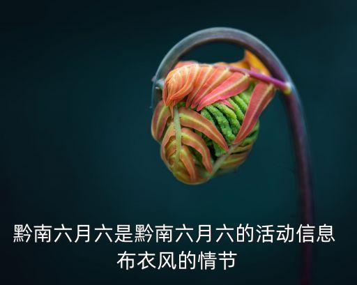 布衣舞蹈视频,布衣者舞蹈作品简介