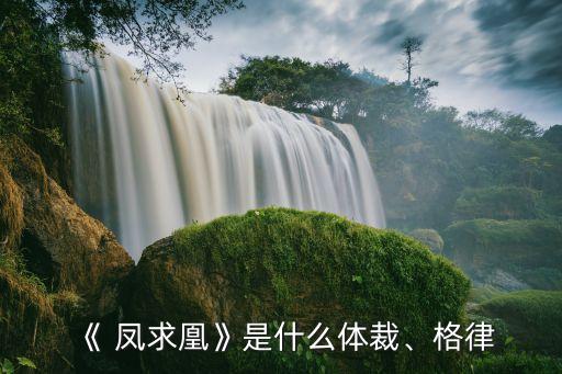 舞蹈凤求凰赏析,凤求凰舞蹈视频完整版