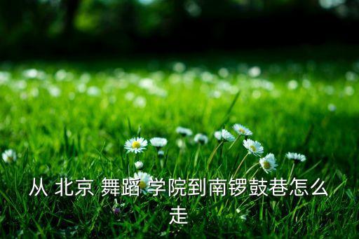 从 北京 舞蹈 学院到南锣鼓巷怎么走