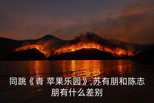 同跳《青 苹果乐园》,苏有朋和陈志朋有什么差别