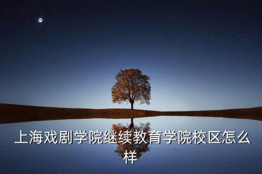 上海舞蹈编导季素华