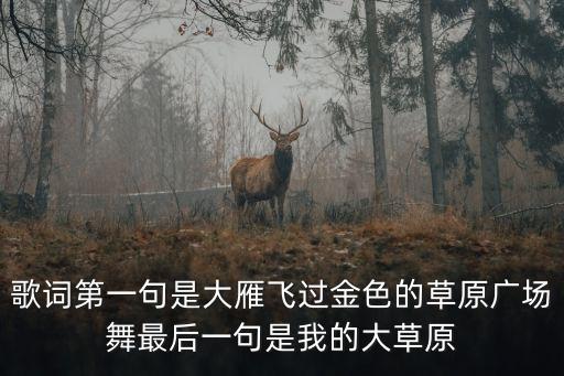 舞蹈呼伦牧歌背面演示,呼伦牧歌舞蹈视频