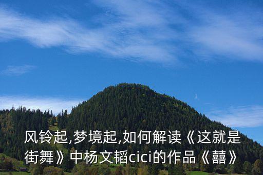  风铃起,梦境起,如何解读《这就是街舞》中杨文韬cici的作品《囍》
