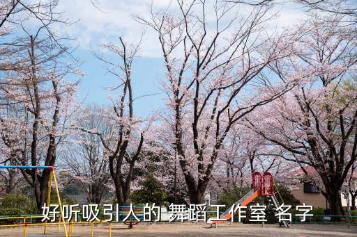 舞蹈班名字大全,有内涵的舞蹈班名字大全带怡