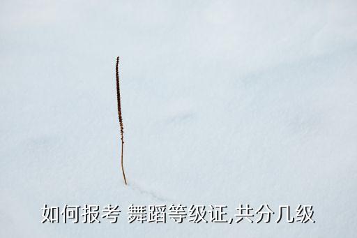 如何报考 舞蹈等级证,共分几级
