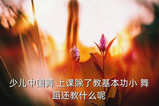 少儿中国舞 上课除了教基本功小 舞蹈还教什么呢