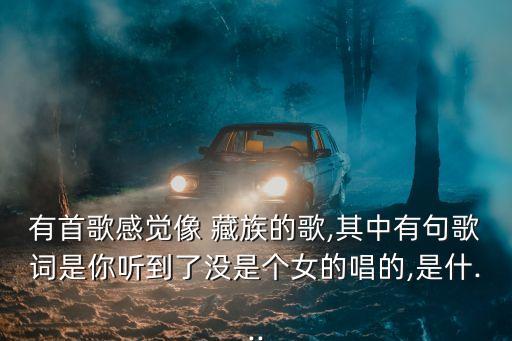 有首歌感觉像 藏族的歌,其中有句歌词是你听到了没是个女的唱的,是什...