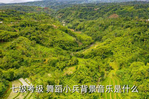 七级考级 舞蹈小兵背景音乐是什么