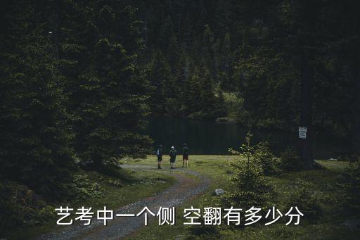 艺考中一个侧 空翻有多少分