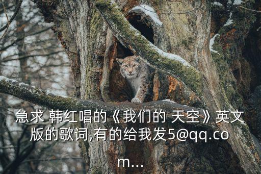 急求 韩红唱的《我们的 天空》英文版的歌词,有的给我发5@qq.com...