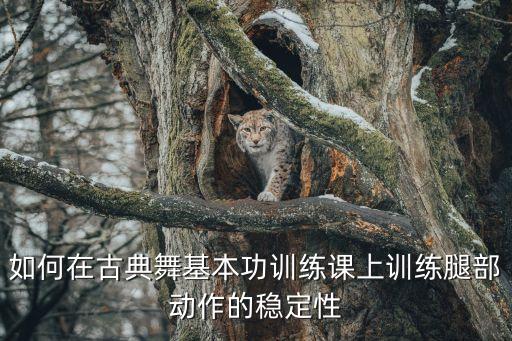 舞蹈后抬腿