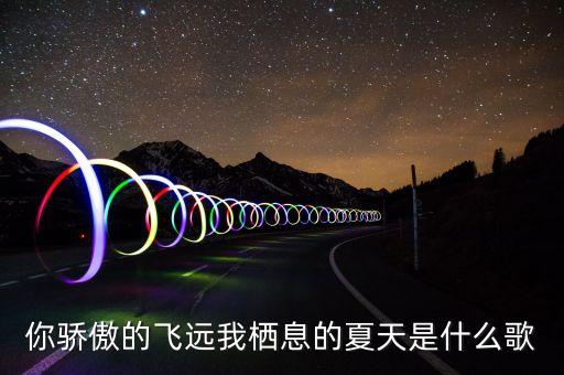 你骄傲的飞远我栖息的夏天是什么歌