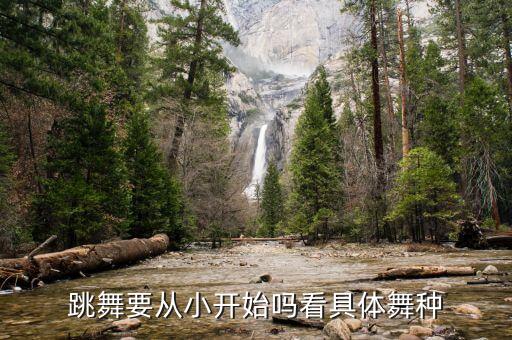 舞蹈要上学了,舞蹈上学了视频教程全集完整版