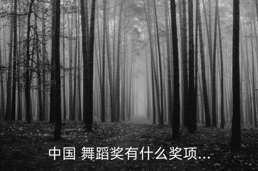 中国 舞蹈奖有什么奖项...