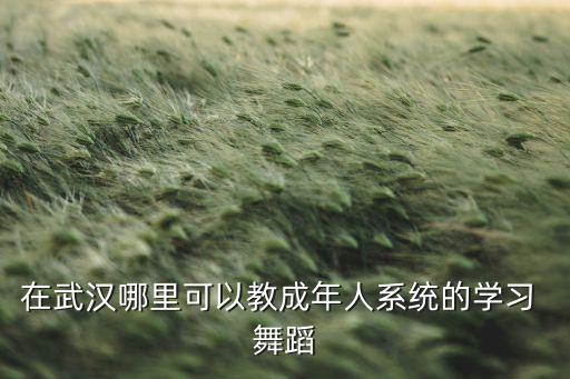 武汉市体育舞蹈协会,山东省体育舞蹈运动协会