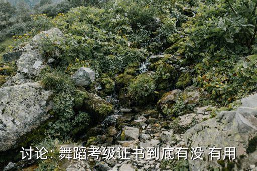 讨论: 舞蹈考级证书到底有没 有用