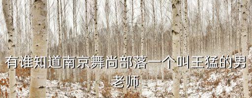 有谁知道南京舞尚部落一个叫王猛的男老师