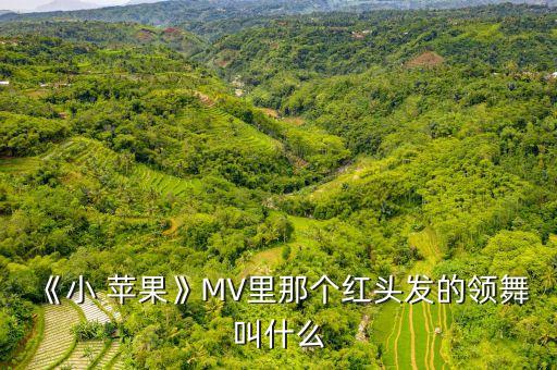 《小 苹果》MV里那个红头发的领舞叫什么