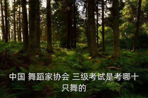 江苏舞蹈 三级,舞蹈三级鹅鹅鹅