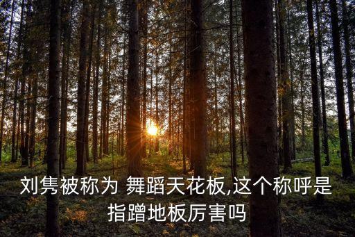 刘隽被称为 舞蹈天花板,这个称呼是指蹭地板厉害吗