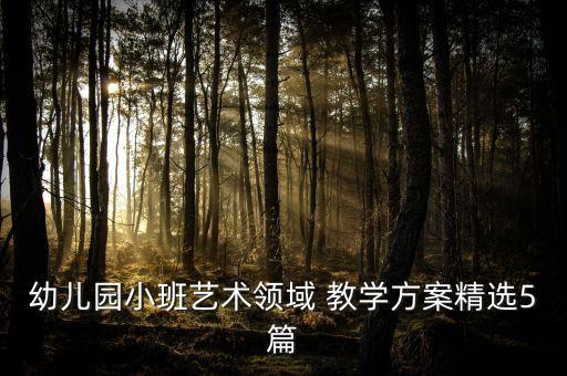 幼儿园小班艺术领域 教学方案精选5篇
