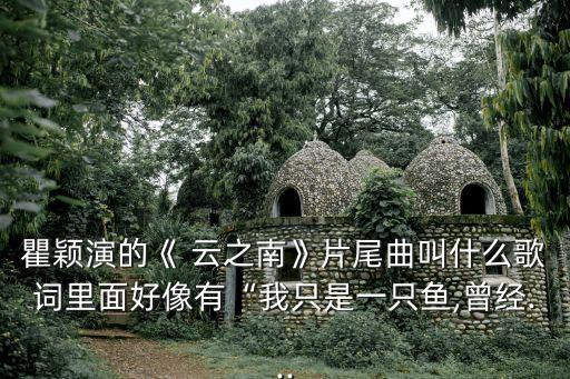 瞿颖演的《 云之南》片尾曲叫什么歌词里面好像有“我只是一只鱼,曾经...