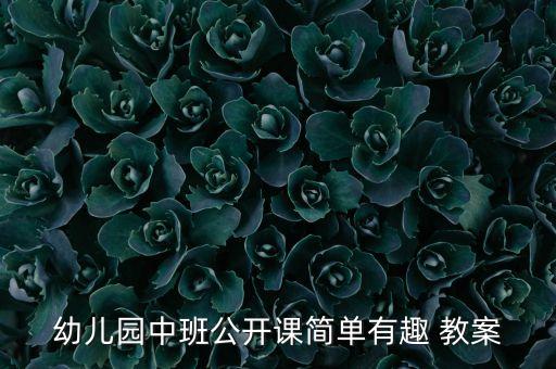 幼儿园中班公开课简单有趣 教案
