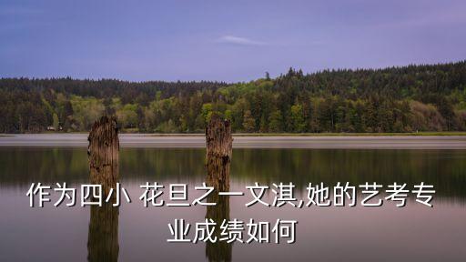 作为四小 花旦之一文淇,她的艺考专业成绩如何
