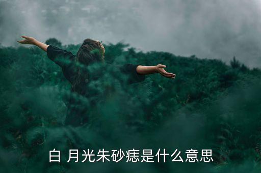 白 月光朱砂痣是什么意思
