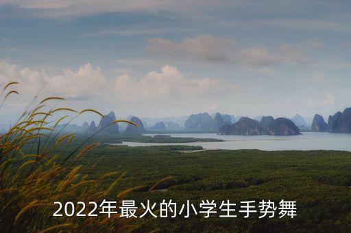 2022年最火的小学生手势舞