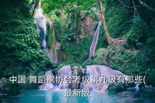 中国 舞蹈家协会考级第九级有那些(最新版