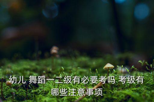 成都舞蹈考级小课,九级舞蹈考级课