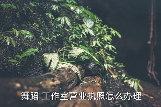  舞蹈 工作室营业执照怎么办理
