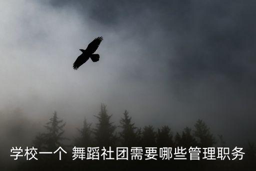 学校一个 舞蹈社团需要哪些管理职务