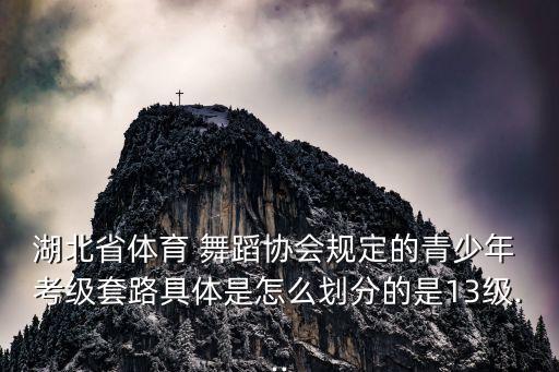 湖北省体育 舞蹈协会规定的青少年 考级套路具体是怎么划分的是13级...